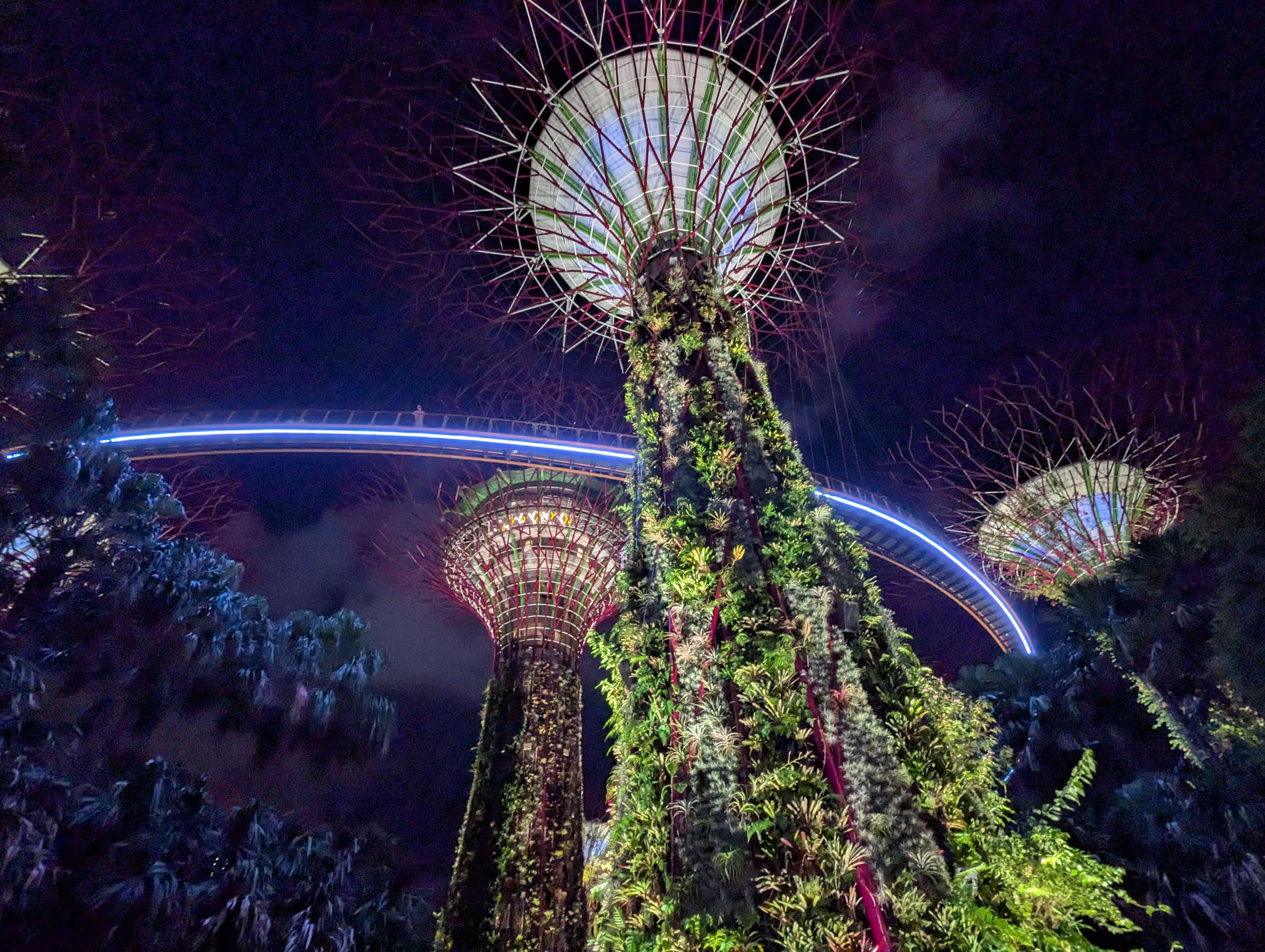 Singapore Supertree Grove, vertical garden macrostructures.
